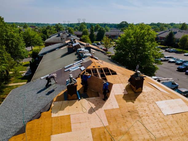 Best Roof Maintenance Services  in Harvey, MI