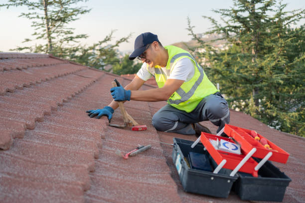 Best Roof Maintenance Services  in Harvey, MI