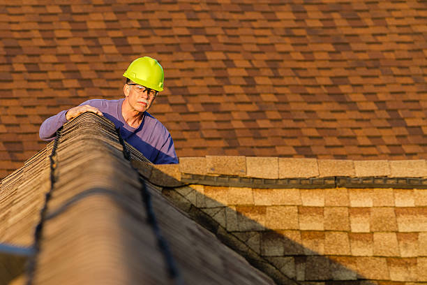 Best Roof Gutter Cleaning  in Harvey, MI