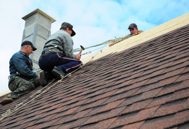 Best Roof Leak Repair  in Harvey, MI